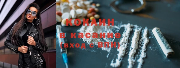 крисы Абаза