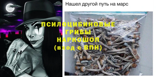 крисы Абаза