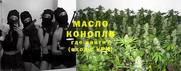 крисы Алексин