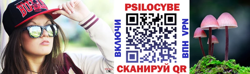 где можно купить Щучье Галлюциногенные грибы Psilocybine cubensis